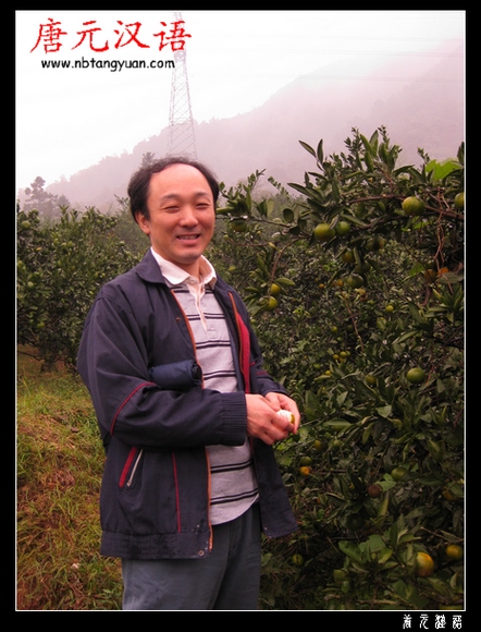 采橘活动